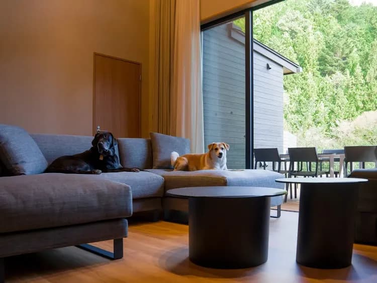 【A01～06（リビングダイニング）】ワンちゃんと一緒に自然を感じながらリラックス