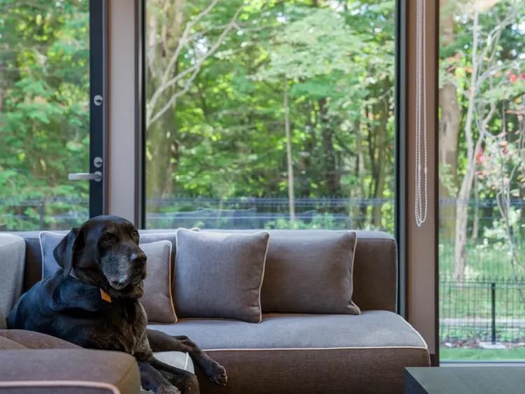 【D01（リビングダイニング）】開放的なリビング。ワンちゃんとのリラックスにぴったり。