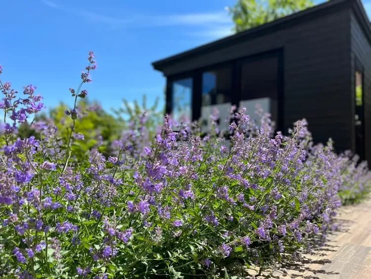 Munin饭店富良野-4｜近富良野滑雪场-14