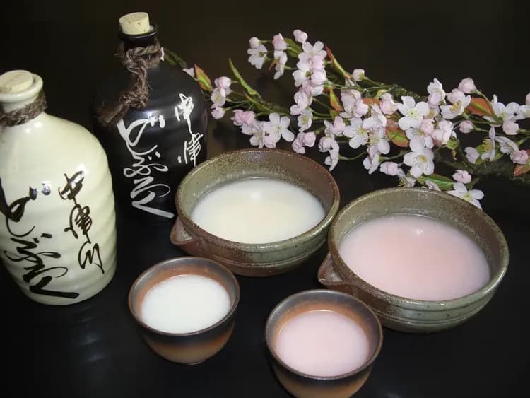 Shirakawa Onsen Shirakawaso-4