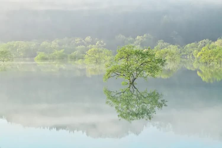 Shirakawa Onsen Shirakawaso-10