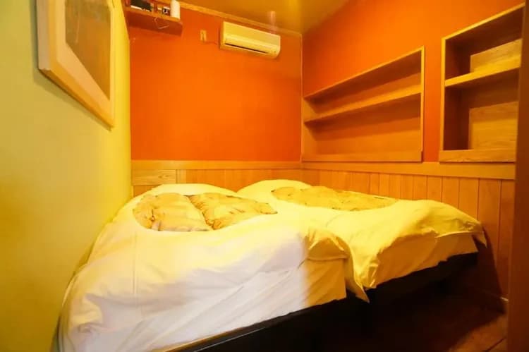 銀杏 高山｜飛驒宮川朝市步行7分/近高山昭和館/方便至飛驒高山三町古建築群-6