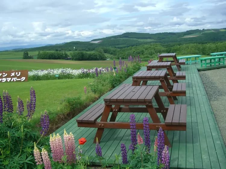 庭のテラスは朝食と珈琲と喫煙にも可能。