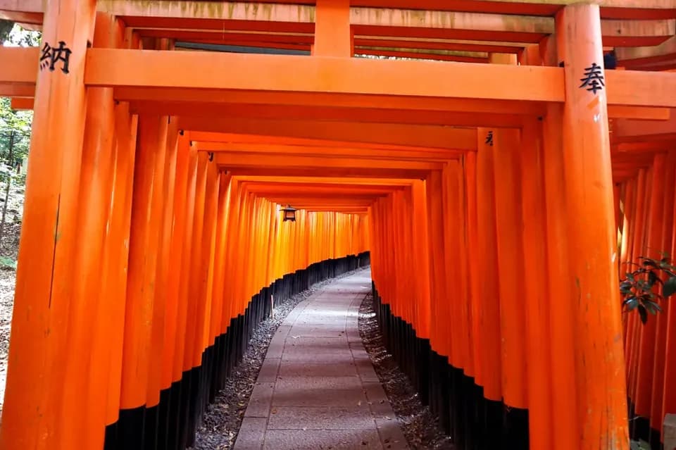 【京都一日遊】<BF>京都巴士一日遊・嵐山天龍寺+金閣寺+伏見稻荷大社 定期觀光巴士一日遊｜含中・英・韓語音導覽-4