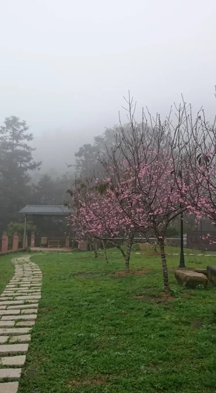 Tenlai Leisure Homestay | Free Breakfast-9