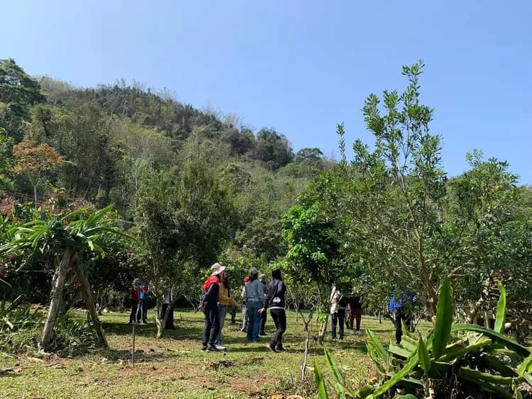 Tenlai Leisure Homestay | Free Breakfast-10