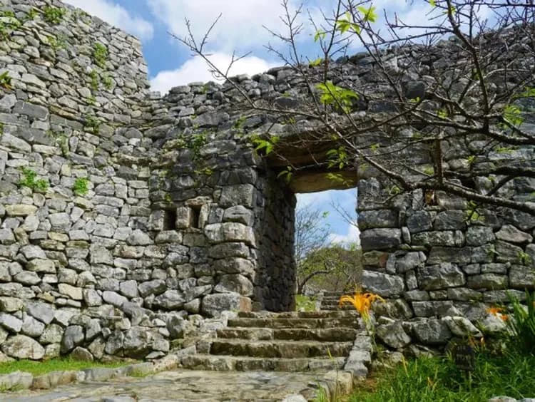 【沖繩一日遊】<B路線> 美麗海水族館．萬座毛．今歸仁城址｜含午餐．日/英文領隊-8