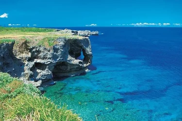 【沖繩一日遊】<B路線> 美麗海水族館．萬座毛．今歸仁城址｜含午餐．日/英文領隊-9