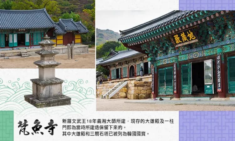 釜山｜一覽海景海濱列車．加耶挑戰極限運動．鐵道自行車＿紅酒洞窟．青沙浦天空步道．絕美釜山夜景(一站購物彩妝)五日｜高雄-12