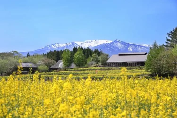陸奧杜之湖畔公園（圖片出自japantravel.navitime）