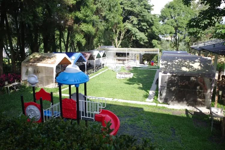 Love spending camping-9