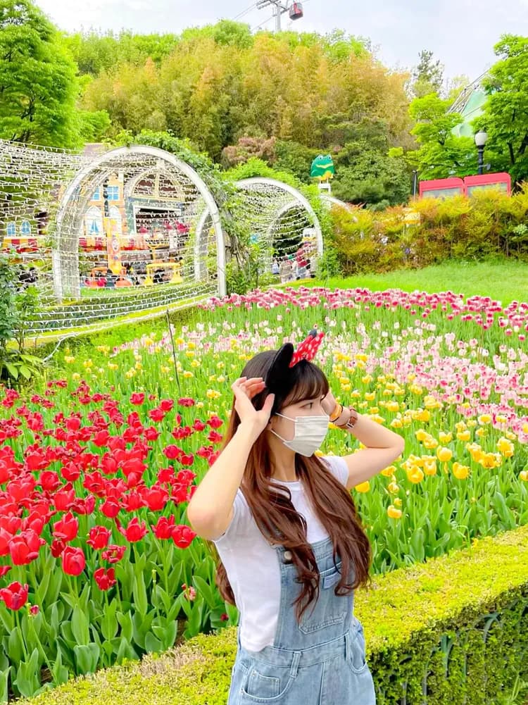 【釜山出發】釜山/大邱/慶州隨機追櫻 & 賞春花一日遊-7