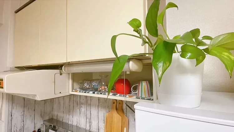 HOKUSEI旅居｜2024新開幕/北18條站步行5分/近北海道大學/直達大通站-10