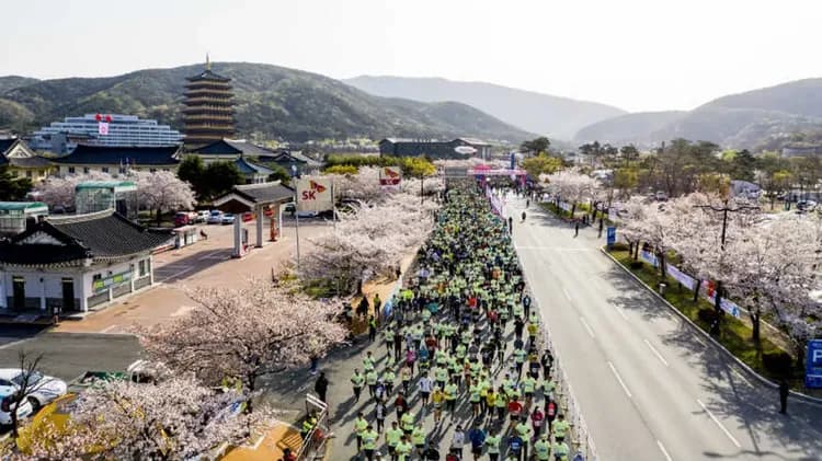 【團體旅遊 -慶州櫻花馬拉松】千年古都巡禮、海岸觀光列車、無去川夜櫻花、最美櫻花隧道五日-10