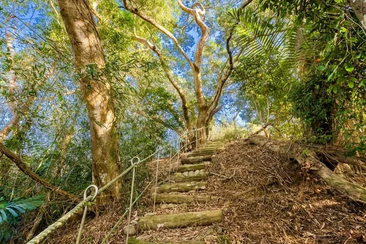 【山上種樹】苗栗豪華懶人露營Glamping｜柴燒泡湯｜可包區森林系狩獵帳｜牛樟森林休閒農場-16