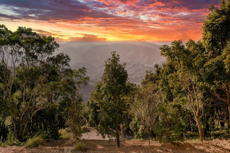 Grow Tree Glamping-13