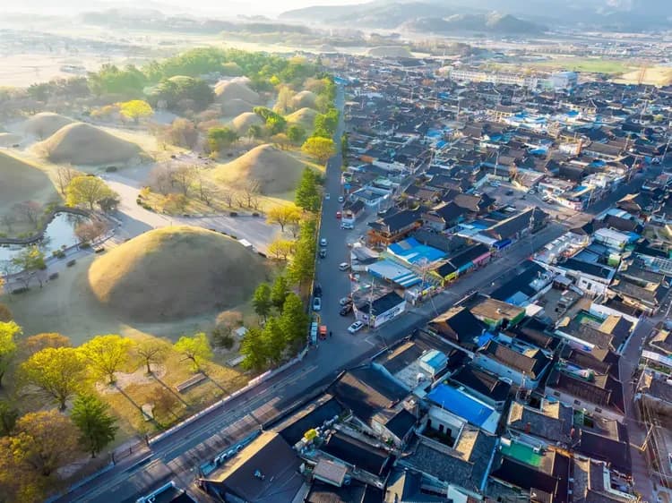 大陵苑與皇理團路