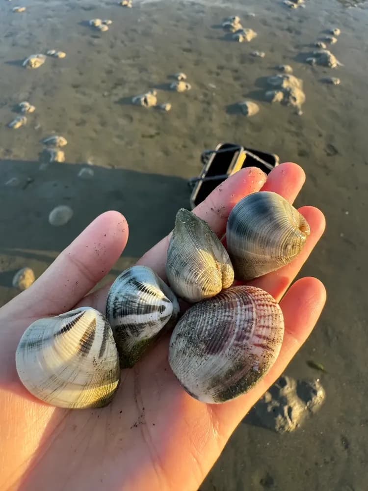 Penghu Starry Sky B&B｜Vacation private B&B near the beach, exclusive private itinerary-18