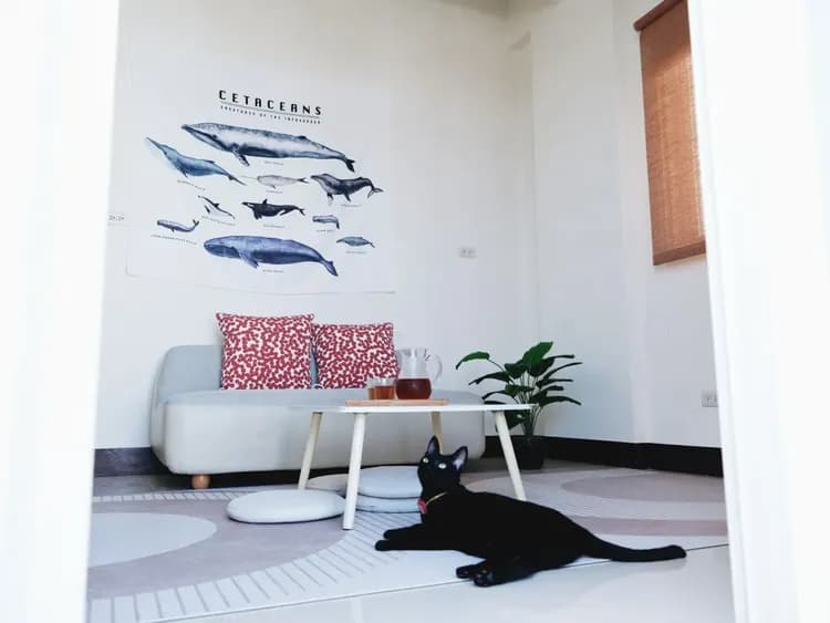 Penghu Starry Sky B&B｜Vacation private B&B near the beach, exclusive private itinerary-9