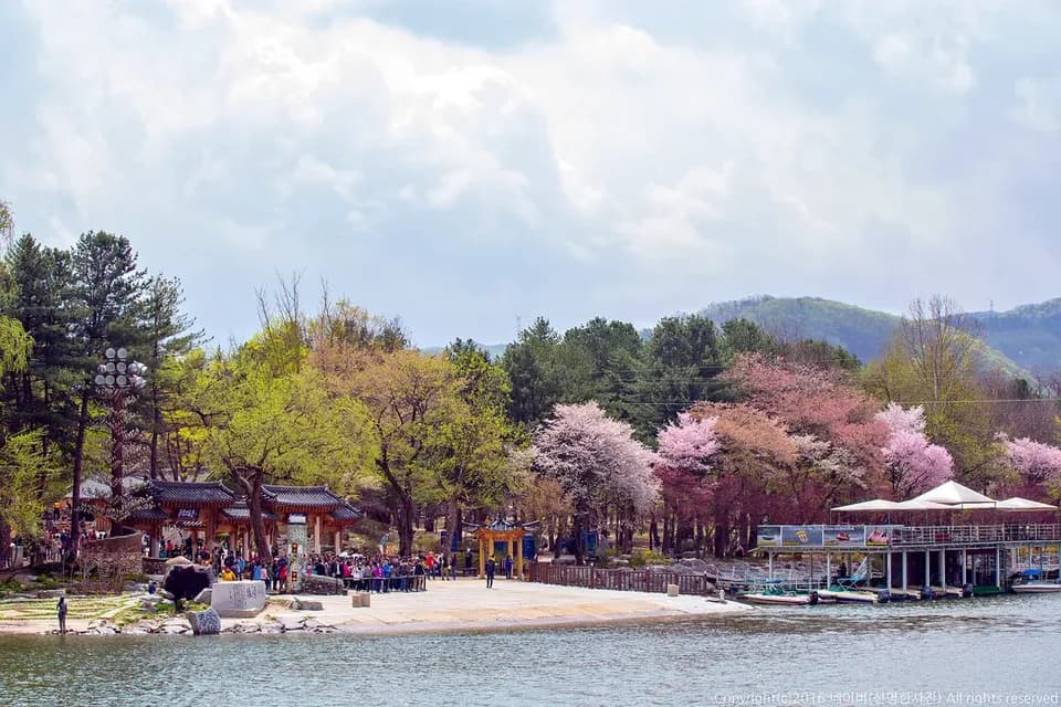 南怡島-春景