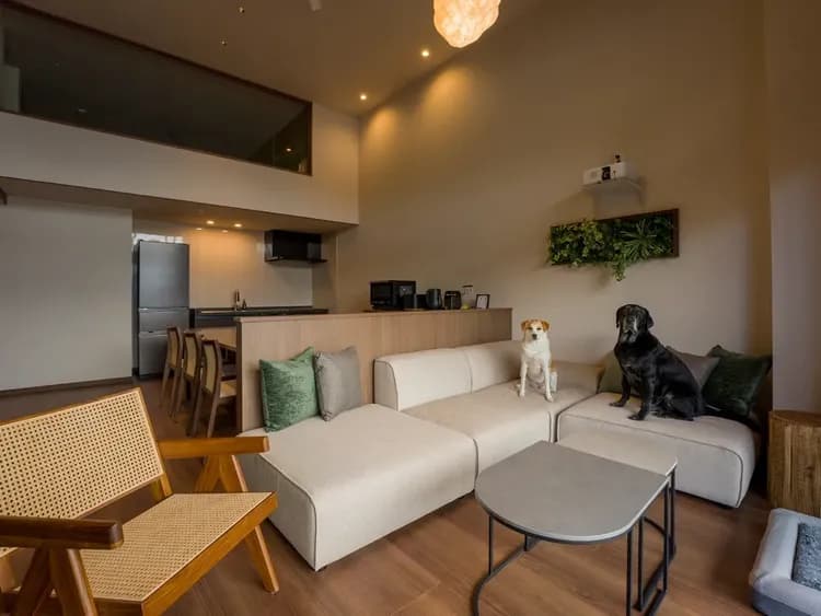 【ペット可/リビングルーム】明るく開放的なリビングでワンちゃんも一緒にリラックス