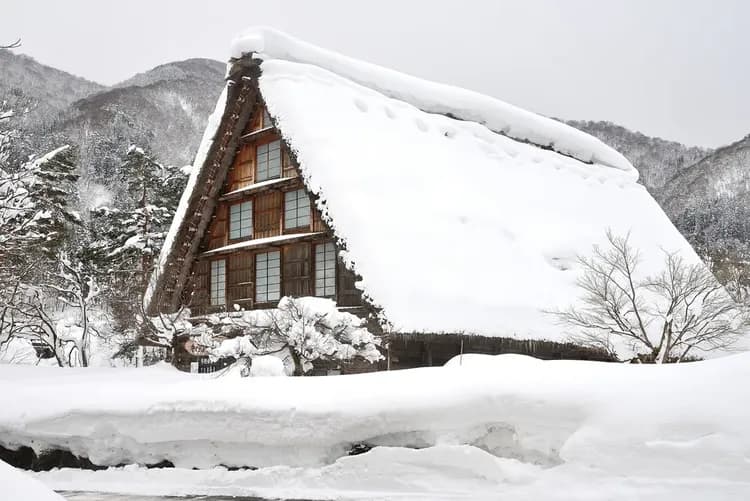 【岐阜秘境巴士一日遊】白川鄉合掌村．世界遺產飛驒高山｜名古屋出發．英語導遊-9