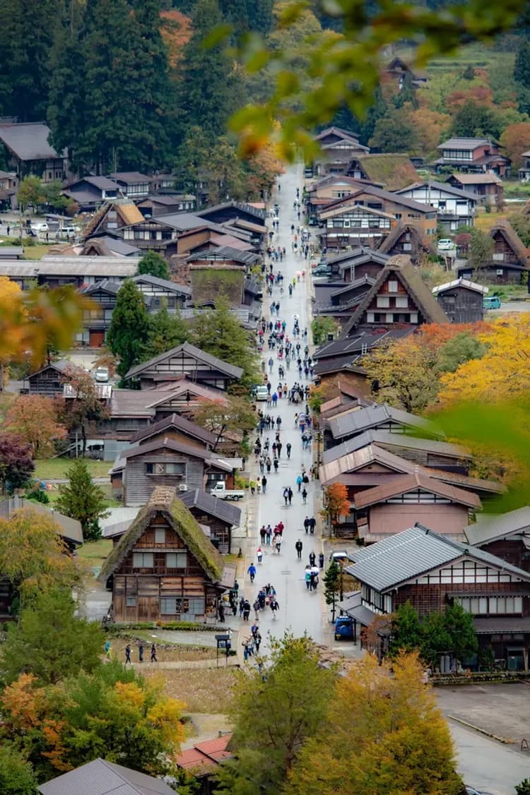 【岐阜秘境巴士一日遊】白川鄉合掌村．世界遺產飛驒高山｜名古屋出發．英語導遊-6