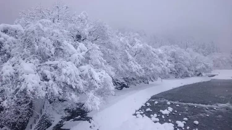 【岐阜秘境巴士一日遊】白川鄉合掌村．世界遺產飛驒高山｜名古屋出發．英語導遊-12
