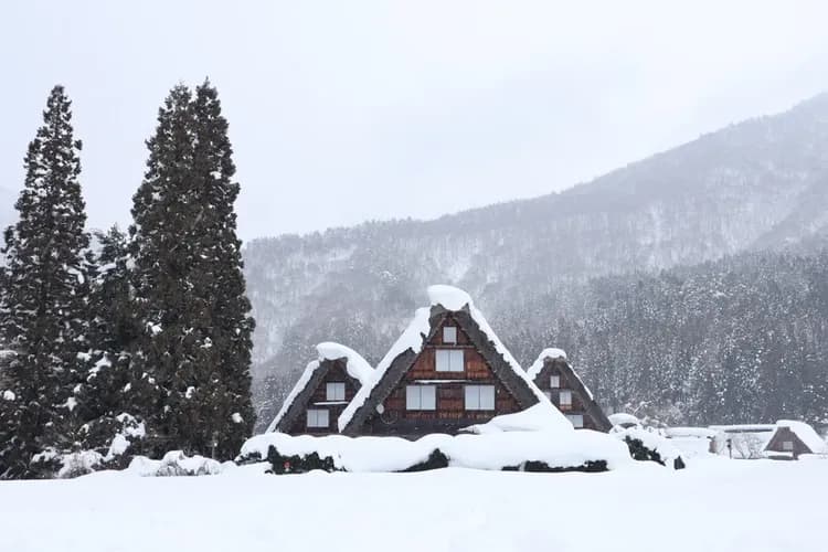 【岐阜秘境巴士一日遊】白川鄉合掌村．世界遺產飛驒高山｜名古屋出發．英語導遊-8