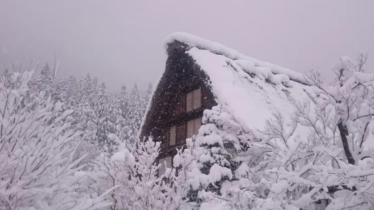 【岐阜秘境巴士一日遊】白川鄉合掌村．世界遺產飛驒高山｜名古屋出發．英語導遊-10