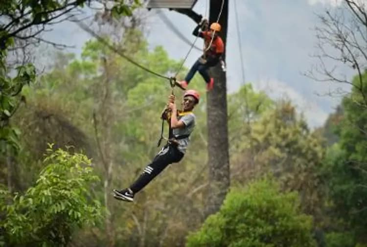 【清邁旅遊5日】馬車遊南邦、友善大象學校、叢林滑翔冒險、王府帝王宴x米其林推薦美食、無購物