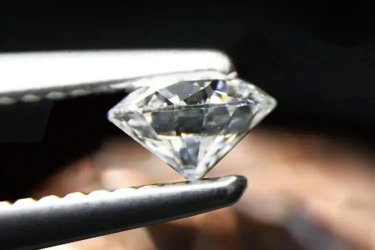 【桃園蘆竹】侏羅紀博物館 門票/淘寶體驗-6