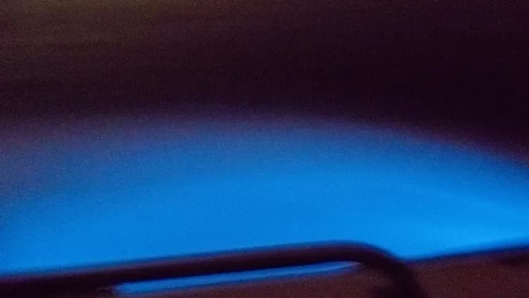 馬來西亞旅遊｜大紅花渡假村.馬六甲文化遺產.夜賞藍眼淚.海鮮拼盤.五星飯店美饌五日-6