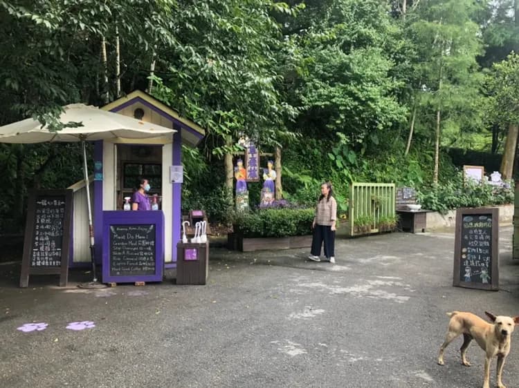 【台中新社】薰衣草森林 門票+霜淇淋買一送一-5