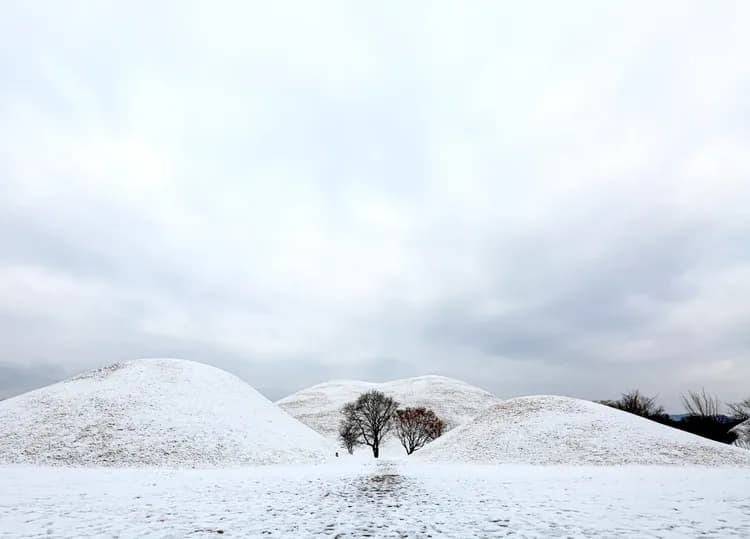 大陵苑史蹟公園-冬景