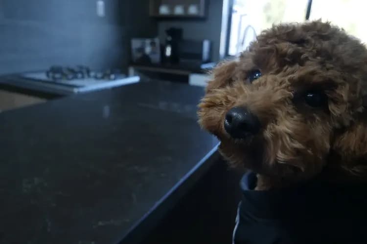 +FINO RESORT VILLA-19