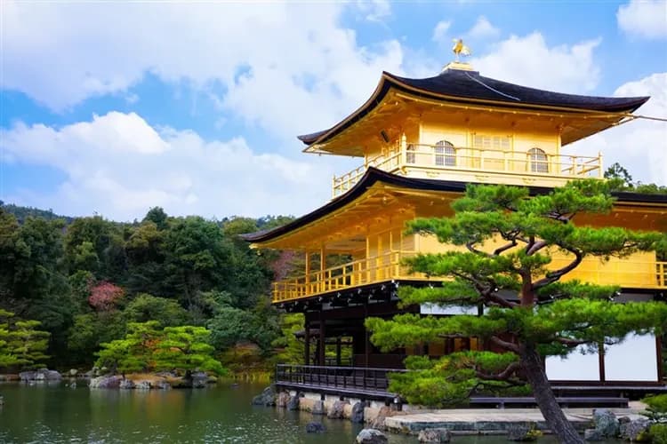 【日本大阪旅遊】京阪神三都、四季花卉~神戶布引香草園、藝術美學átoa水族館、環球影城瑪利歐、和牛龍蝦五日、二晚環球旁飯店