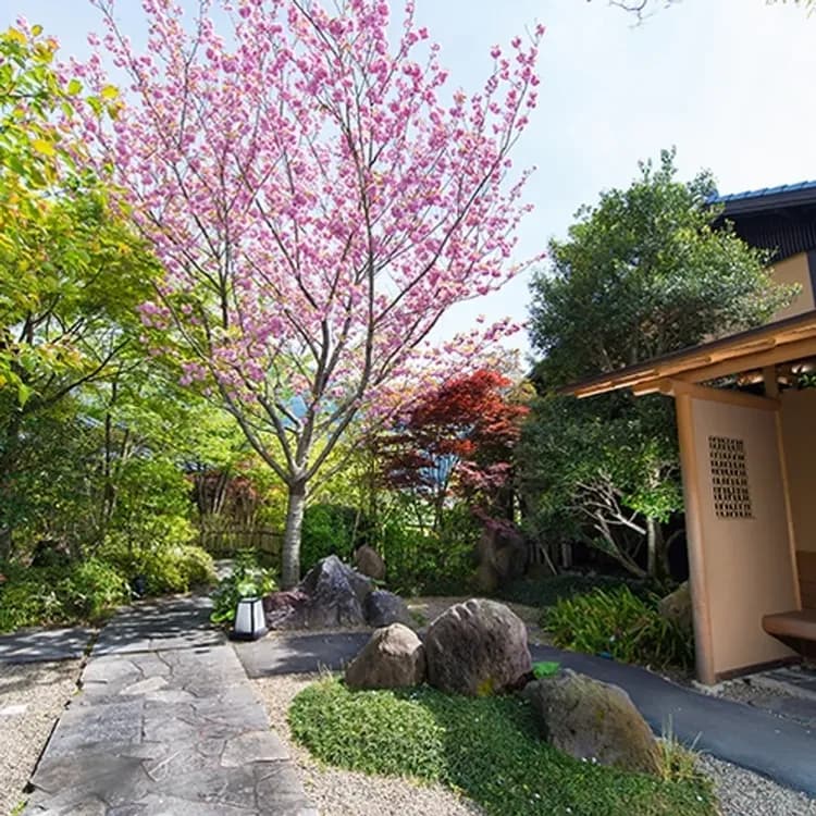 由布院別邸樹｜由布院站歩行20分/近金鱗湖-18