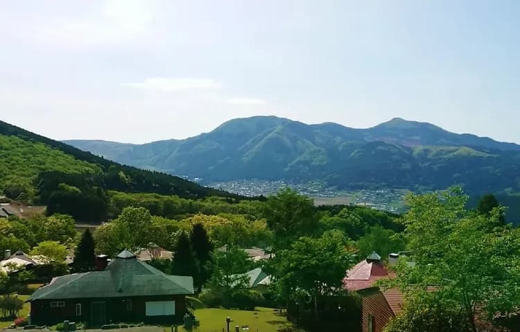 春はバルコニーから一面の新緑を眺める事ができます。