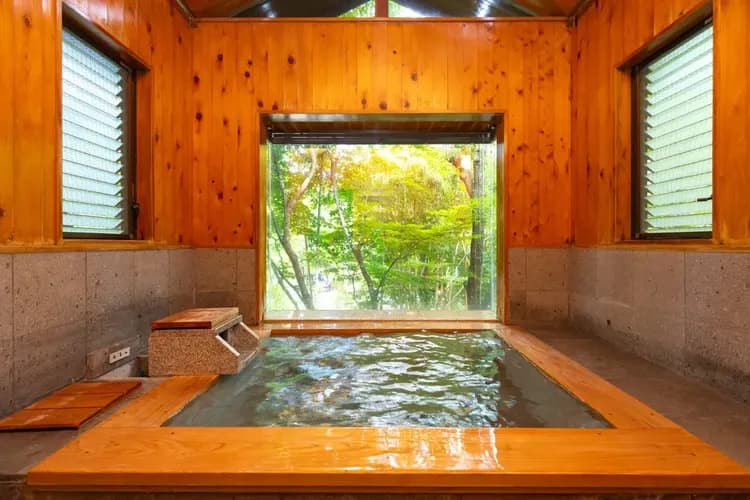 天然温泉の内風呂