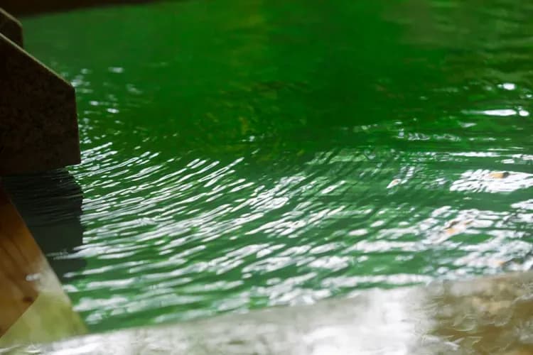 天然温泉の内風呂