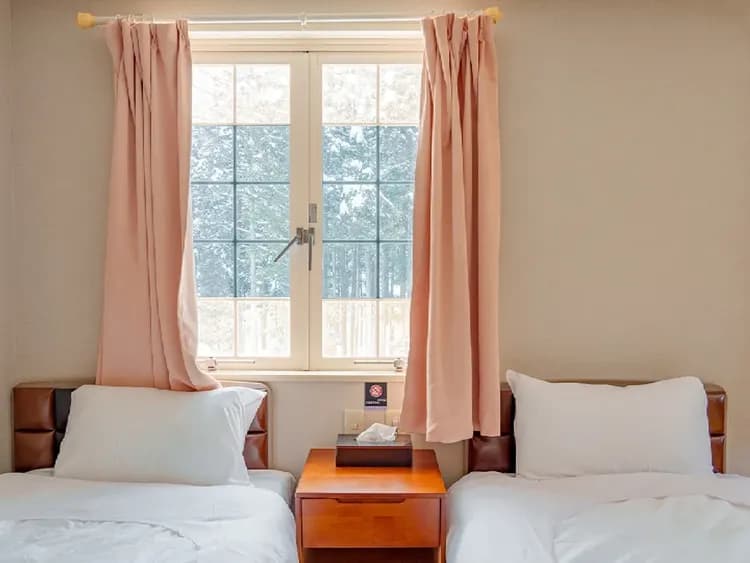 Japanese-Western style room