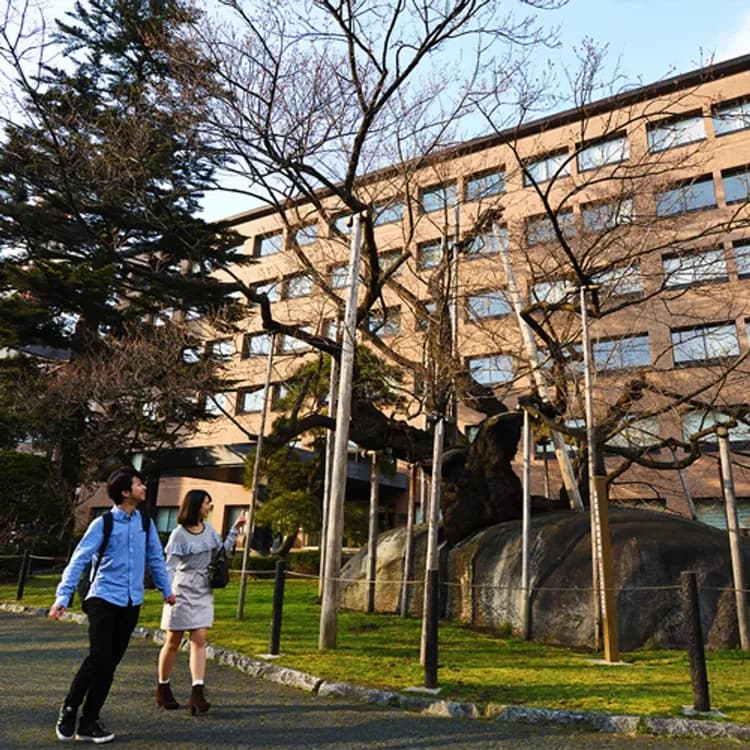 盛岡皇家飯店｜JR盛岡步行12分/近盛岡城-3