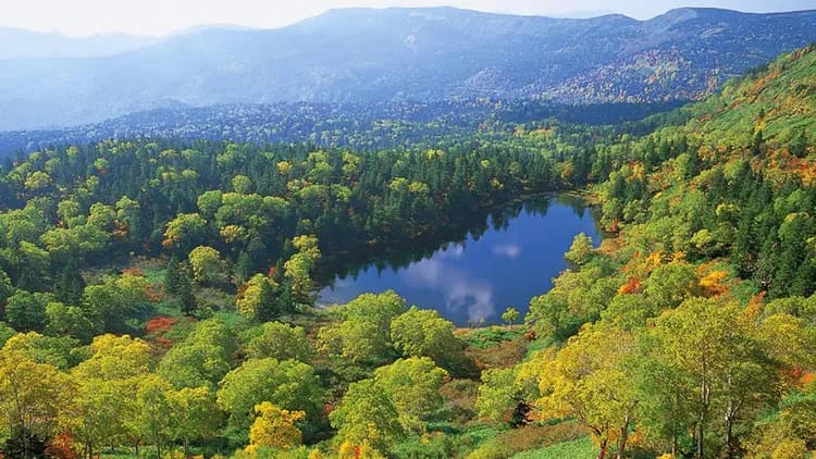 珍珠城市飯店 盛岡｜JR盛岡站步行5分/近盛岡城-3