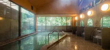 하코네 유모토 온천 호텔 센케이-3