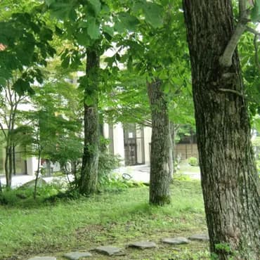 渡り温泉 ホテルさつき 別邸楓-3