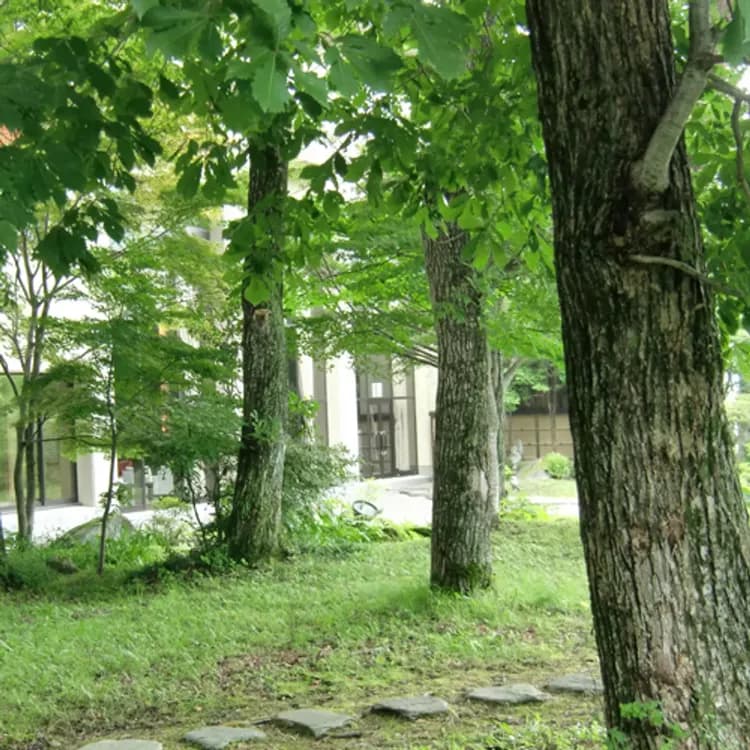 渡り温泉 ホテルさつき 別邸楓-3