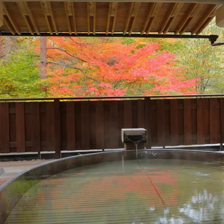 Hanamaki Onsen Kasyoen-11