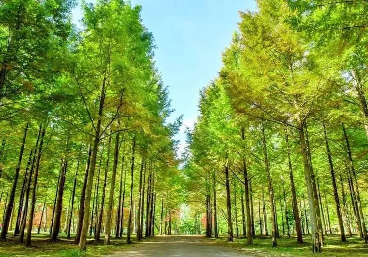 【首爾旅遊】歡樂愛寶樂園、必遊南怡島、益善洞韓屋村尋寶、星空圖書館2.0、明洞_弘大逛街五日