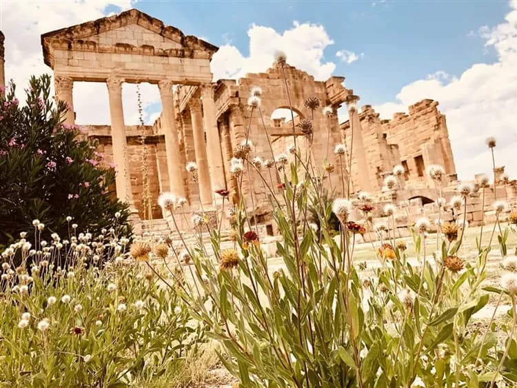 【突尼西亞旅遊10日】綠洲吉普車、吉特利鹽湖、撒哈拉沙漠、夜宿沙漠帳篷旅館-11